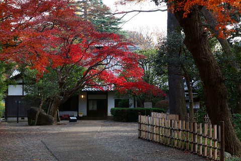 IMG_0699旧小坂邸