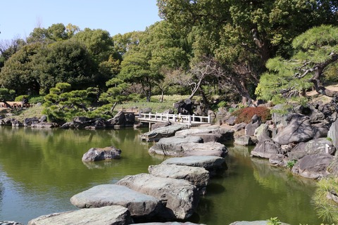 IMG_6634磯渡り（紀州青石）