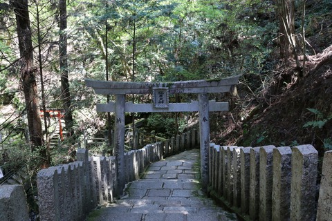 IMG_8611脳天大神へ