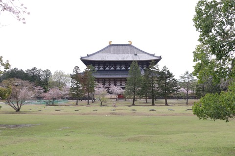 IMG_8060大仏殿裏側