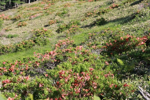 IMG_9813思い出の丘