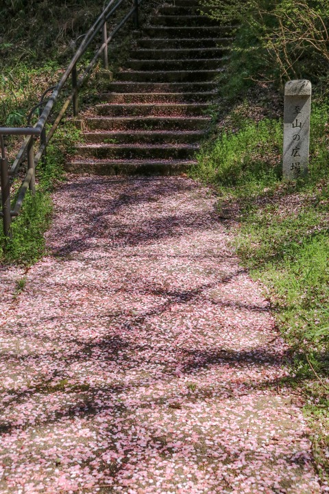 IMG_7900山の広場への階段