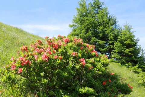 IMG_9876武石峰登る