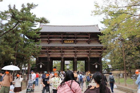 IMG_8167南大門