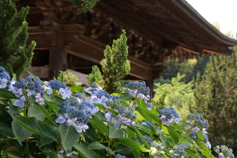 IMG_9393建長寺 三門