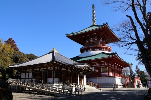 IMG_6104医王殿と平和の大塔