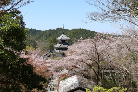 IMG_8602吉野朝宮址