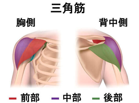 construction-deltoid