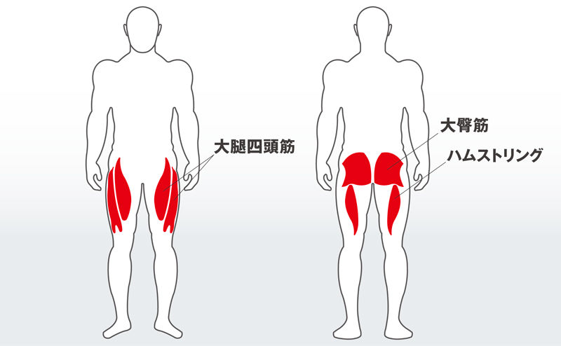 下半身を鍛えるランジの正しいやり方まとめ Tomboy Muscle Blog 下半身を鍛えるランジの正しいやり方まとめ Tomboy Muscle Blog
