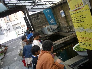 金魚坂 ひらひら ゆらゆら Zooの生活 金魚坂 ひらひら ゆらゆら Zooの生活