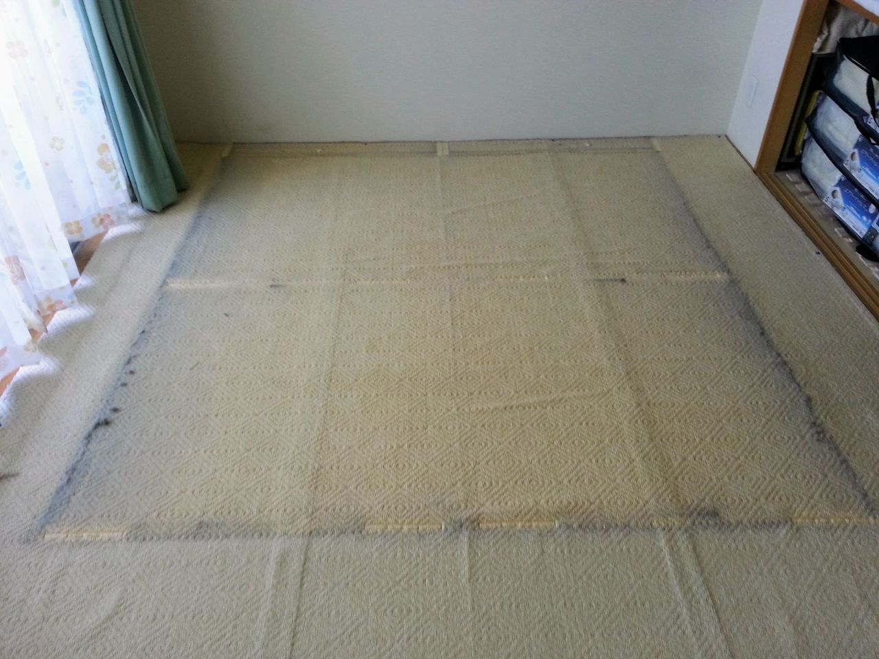 ベッドの下で蓄積されていたモノ 汚画像注意 せいかつのきろく