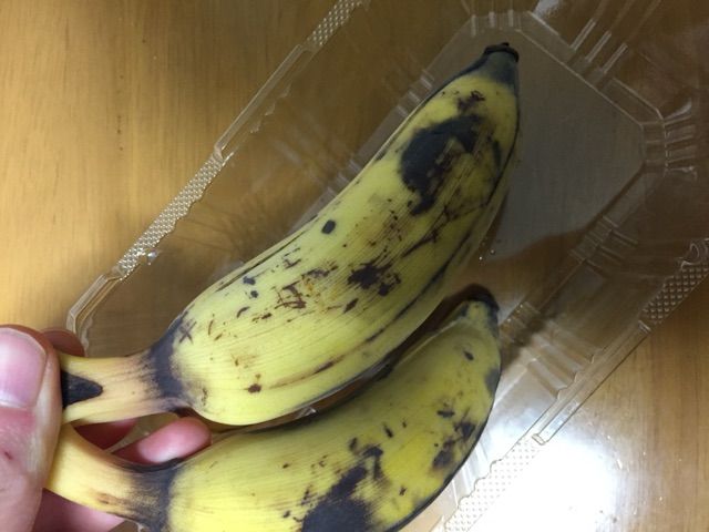 16年02月 思い出たくさん いの ブログ 16年02月 思い出たくさん いの ブログ