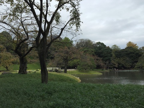 小石川後楽園_N