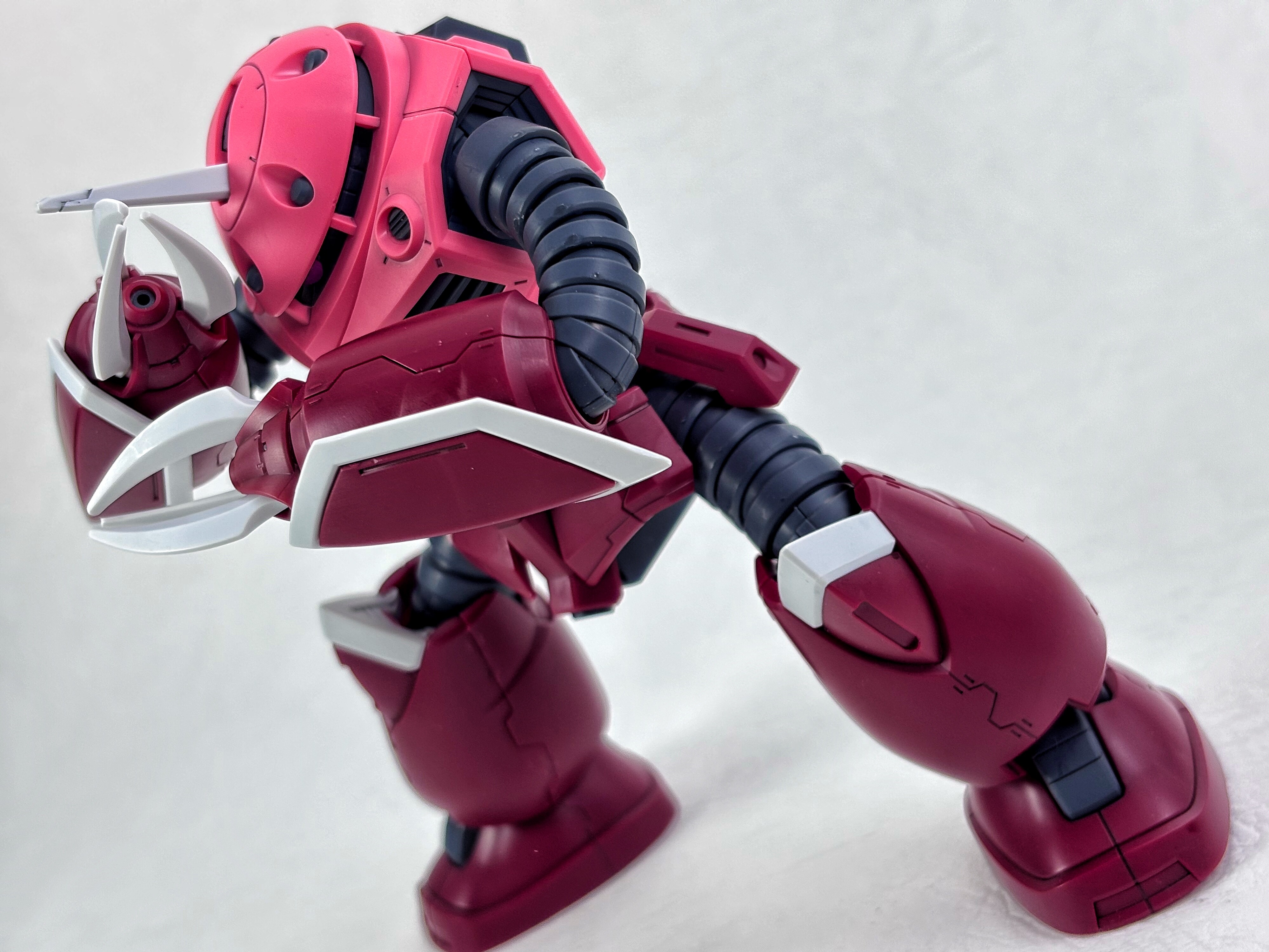 HG ズゴック(SEED FREEDOM Ver.) レビュー : えるけーえぬ