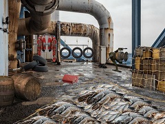 Escape Games Conundrum 1