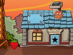 Cassowaries Bird Escape