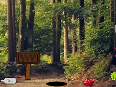 Treasure Trove Escape From Forest