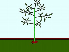 ササの生えた部屋からの脱出～ご先祖様の戯れ～