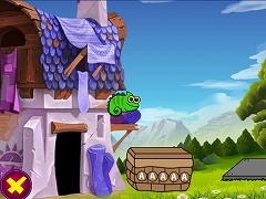 Moluccan Cockatoo Rescue