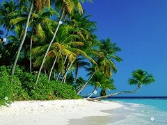 Crystal Hunter Tropical Islands