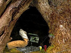 wogger-mini game chapter 137