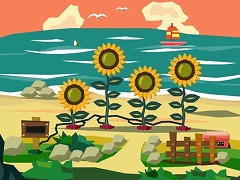 ヒマワリビーチ