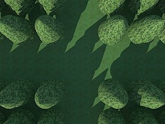 奇妙な森からの脱出