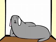 とどうさぎ