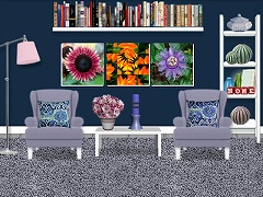 Flower Pictures Room