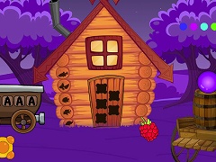 Old White Owl Rescue