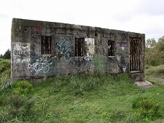 Steal Gold And Escape RE