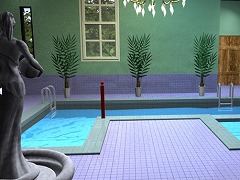 THE POOL