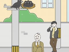 ハゲ回避　-脱出ゲーム