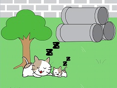 脱出ゲーム こねこはどこに行った?