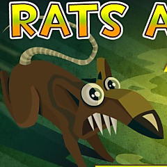 Rats Away