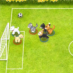 ペットサッカー