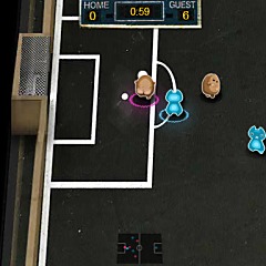 アニマルサッカー