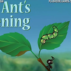 Ant's Evening
