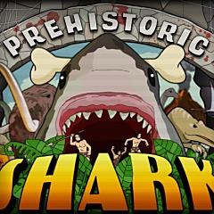 Prehistoric Shark