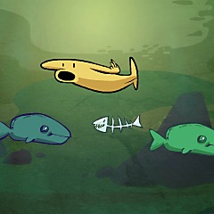  Coo El Laberinto Esferico