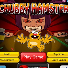 Chubby Hamster