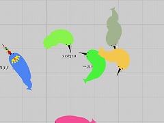 Narwhaleio