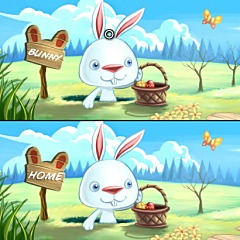 Easter Bunny Differences