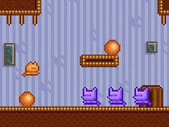 Cat House