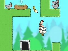 Bird On Bird