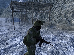 Soldier of Homeland