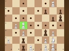 Chess Mania