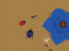 Ant Evolution