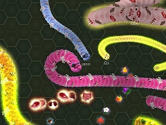 Wormax2