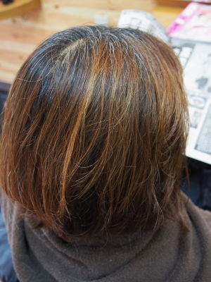 明るくなりすぎた髪を 暗すぎないブラウンに白髪染め 日野市 南平 美容室lleno 白髪染め カラー ブログ 明るくなりすぎた髪を 暗すぎないブラウンに白髪染め 日野市 南平 美容室lleno 白髪染め カラー ブログ